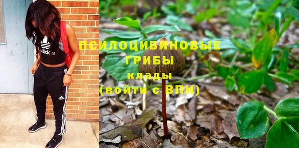 экстази Покачи
